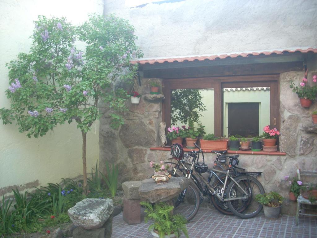 Oschiri Sa Rosa E Su Trapperi B&B 외부 사진