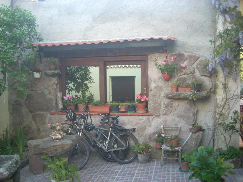 Oschiri Sa Rosa E Su Trapperi B&B 외부 사진